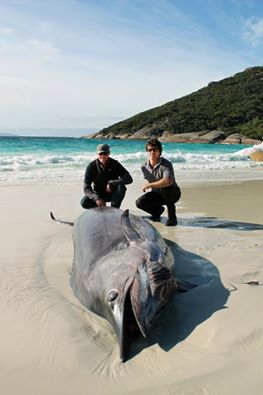 time for the game gear in Albany time for the game gear in Albany